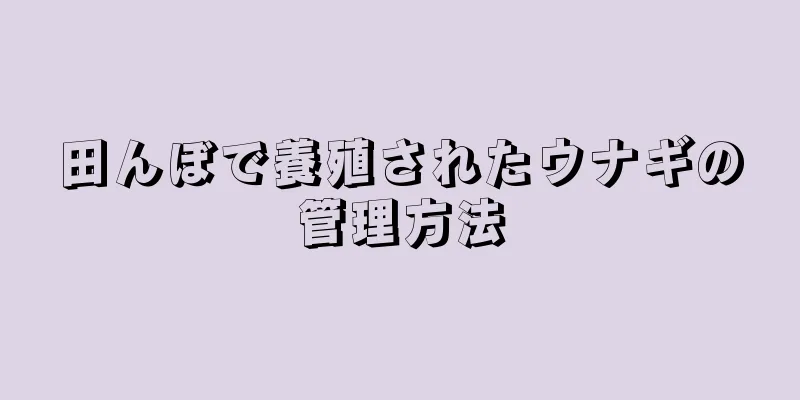 田んぼで養殖されたウナギの管理方法