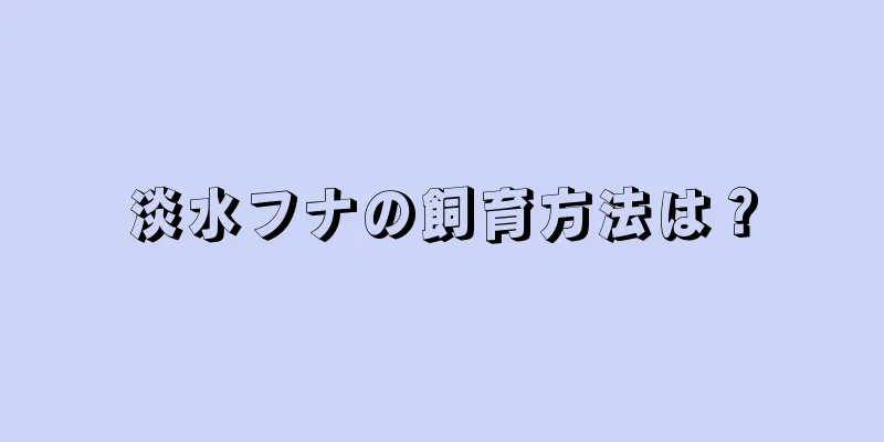 淡水フナの飼育方法は？