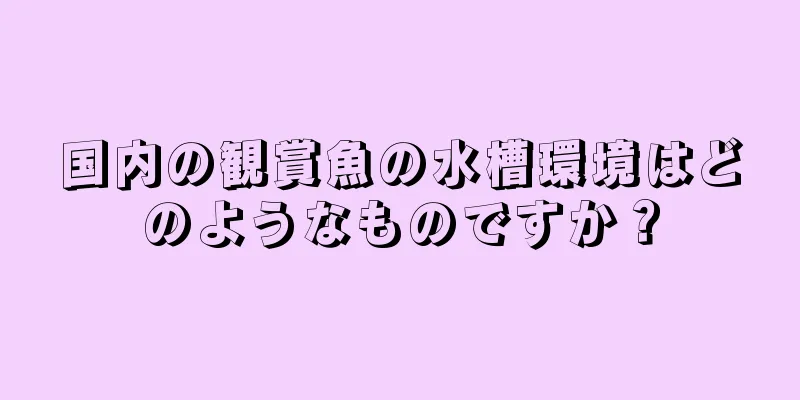 国内の観賞魚の水槽環境はどのようなものですか？