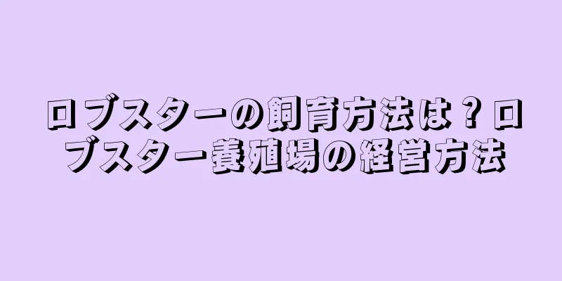 ロブスターの飼育方法は？ロブスター養殖場の経営方法