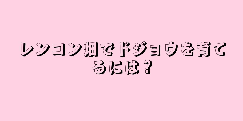 レンコン畑でドジョウを育てるには？