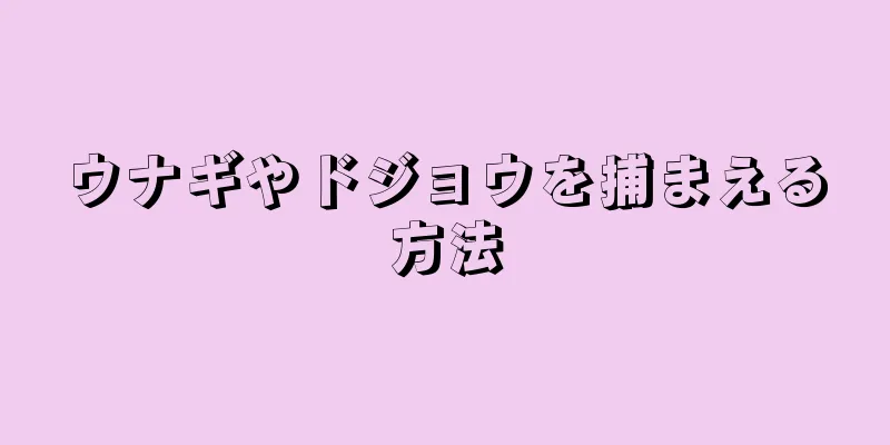 ウナギやドジョウを捕まえる方法