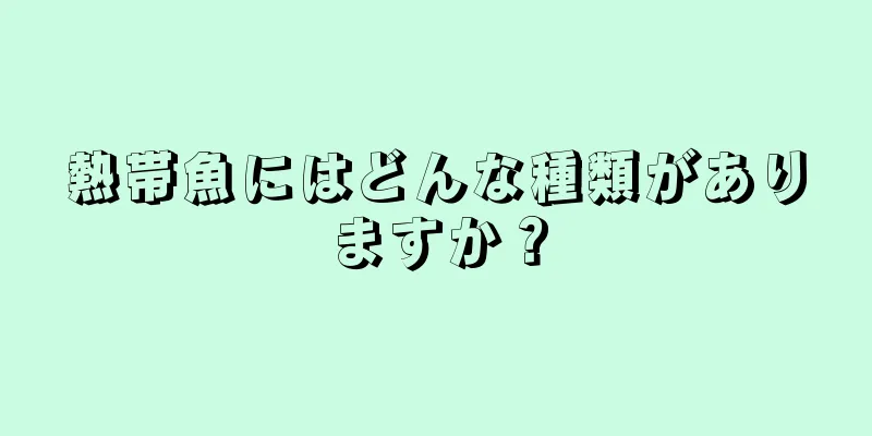 熱帯魚にはどんな種類がありますか？