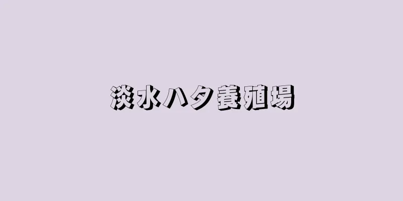淡水ハタ養殖場