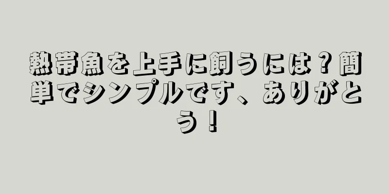 熱帯魚を上手に飼うには？簡単でシンプルです、ありがとう！