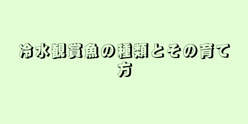 冷水観賞魚の種類とその育て方