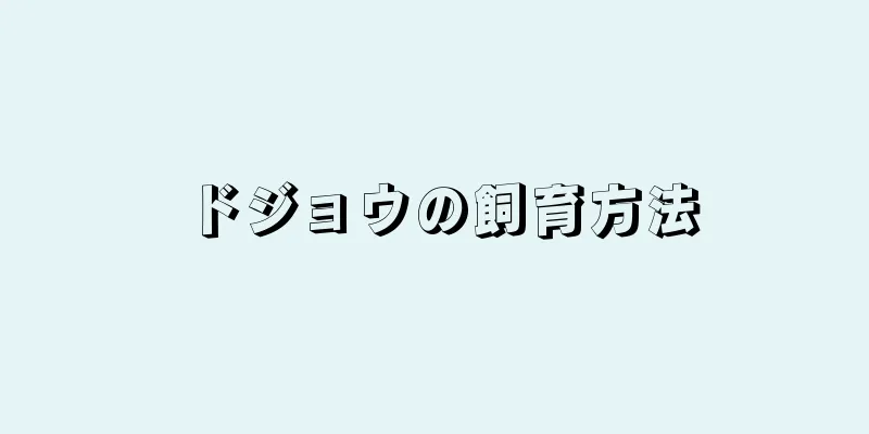 ドジョウの飼育方法