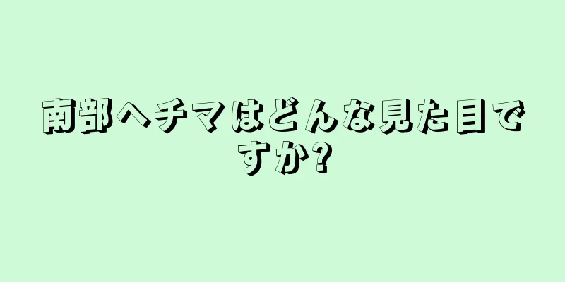 南部ヘチマはどんな見た目ですか?
