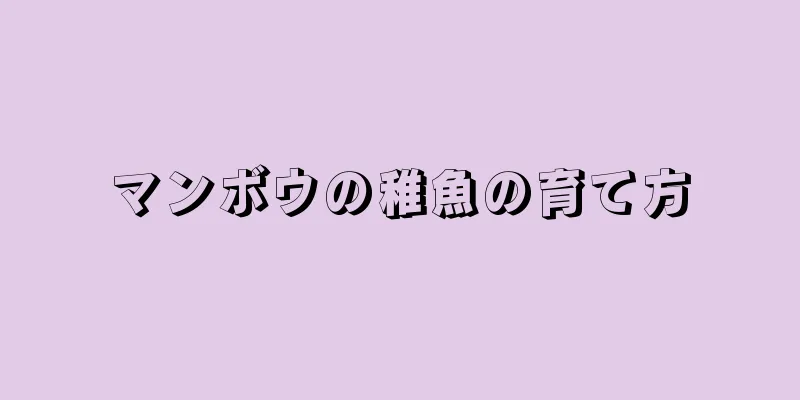 マンボウの稚魚の育て方