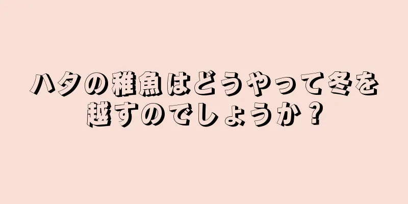 ハタの稚魚はどうやって冬を越すのでしょうか？