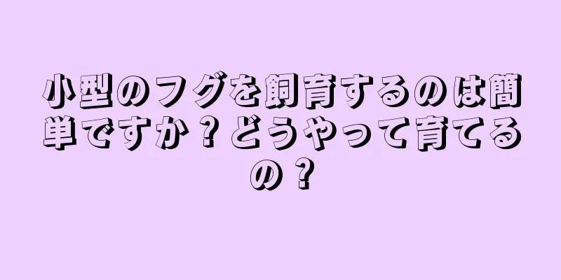小型のフグを飼育するのは簡単ですか？どうやって育てるの？