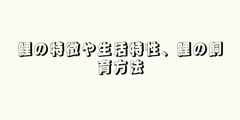 鯉の特徴や生活特性、鯉の飼育方法