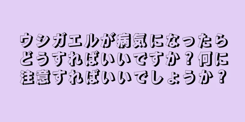 ウシガエルが病気になったらどうすればいいですか？何に注意すればいいでしょうか？