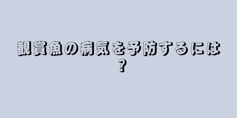 観賞魚の病気を予防するには？