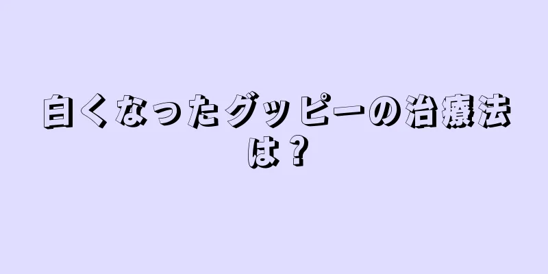 白くなったグッピーの治療法は？