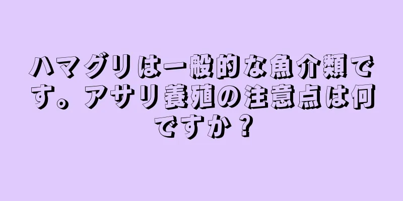 ハマグリは一般的な魚介類です。アサリ養殖の注意点は何ですか？