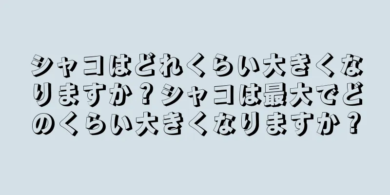シャコはどれくらい大きくなりますか？シャコは最大でどのくらい大きくなりますか？