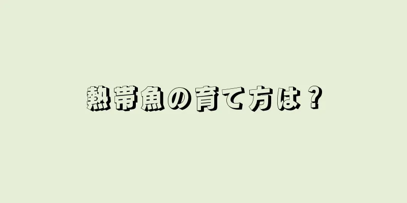 熱帯魚の育て方は？