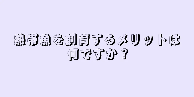 熱帯魚を飼育するメリットは何ですか？