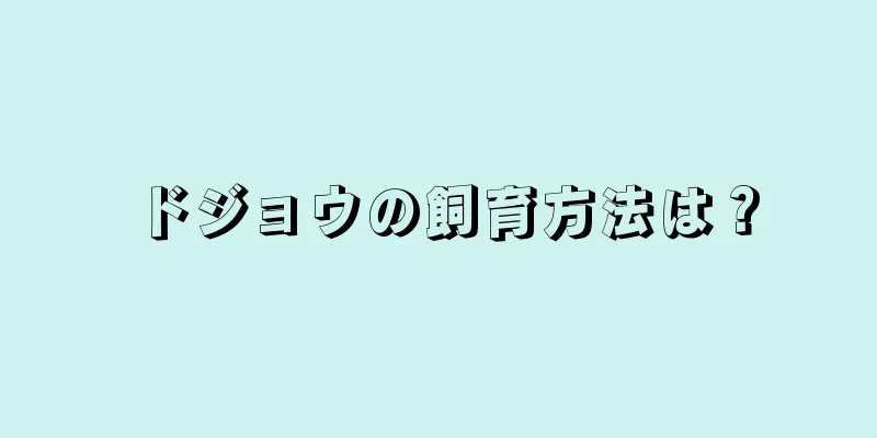 ドジョウの飼育方法は？