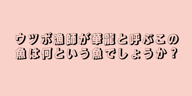 ウツボ漁師が華龍と呼ぶこの魚は何という魚でしょうか？