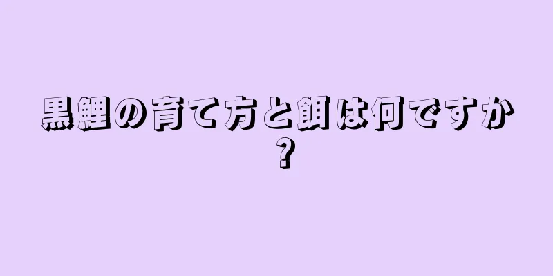 黒鯉の育て方と餌は何ですか？