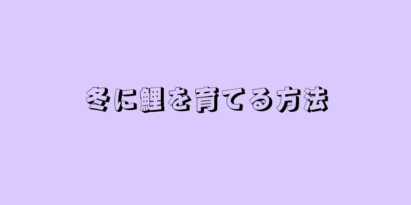 冬に鯉を育てる方法