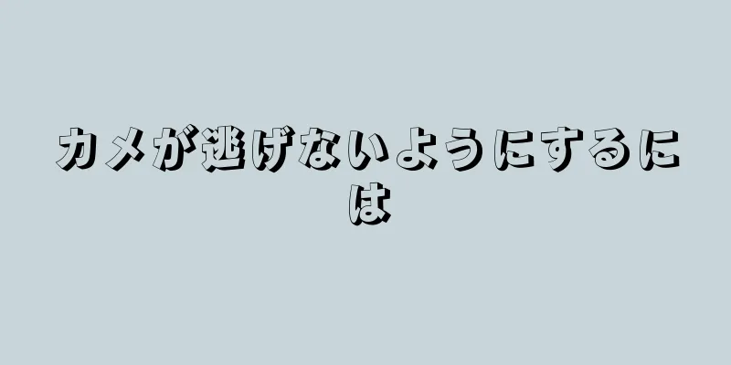 カメが逃げないようにするには