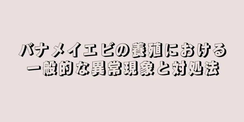 バナメイエビの養殖における一般的な異常現象と対処法