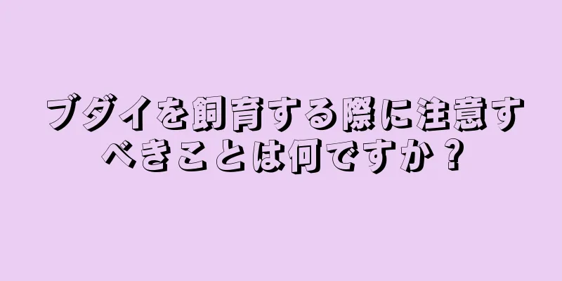 ブダイを飼育する際に注意すべきことは何ですか？