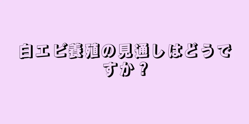 白エビ養殖の見通しはどうですか？