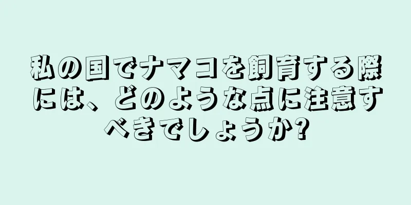 私の国でナマコを飼育する際には、どのような点に注意すべきでしょうか?