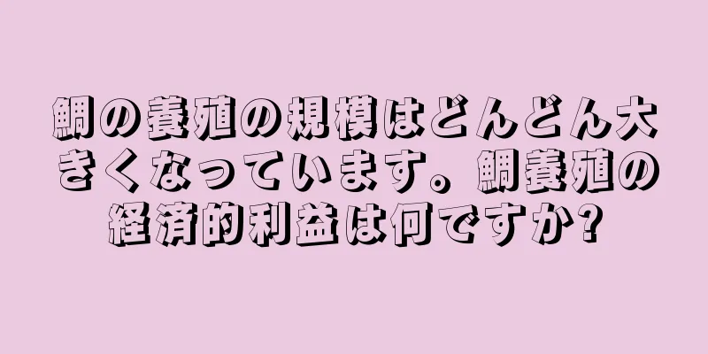 鯛の養殖の規模はどんどん大きくなっています。鯛養殖の経済的利益は何ですか?