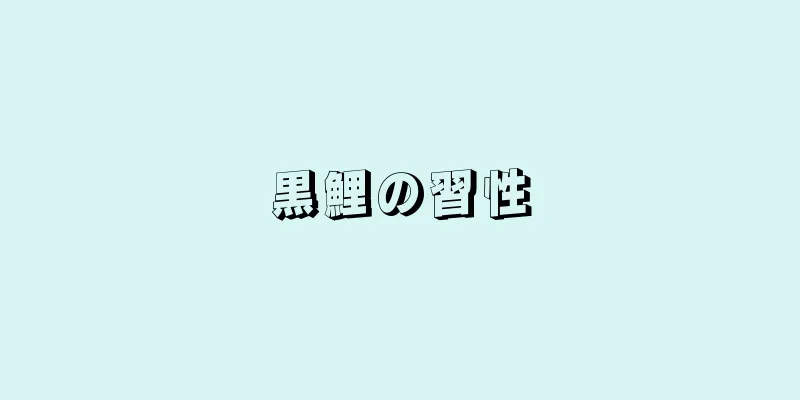 黒鯉の習性