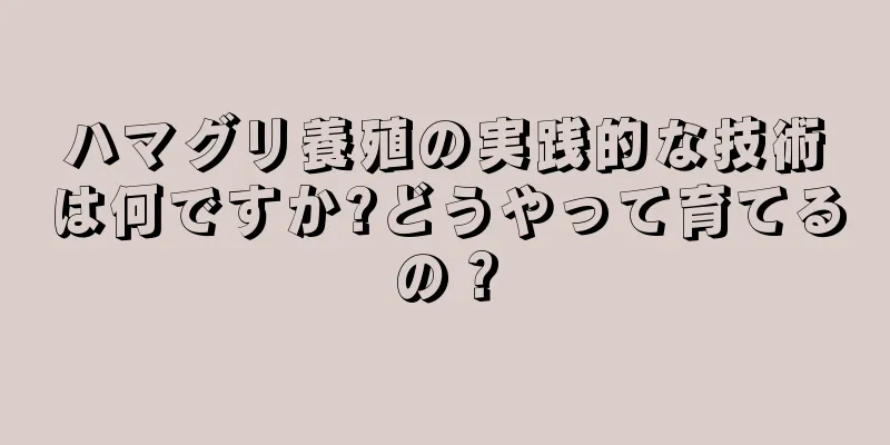 ハマグリ養殖の実践的な技術は何ですか?どうやって育てるの？