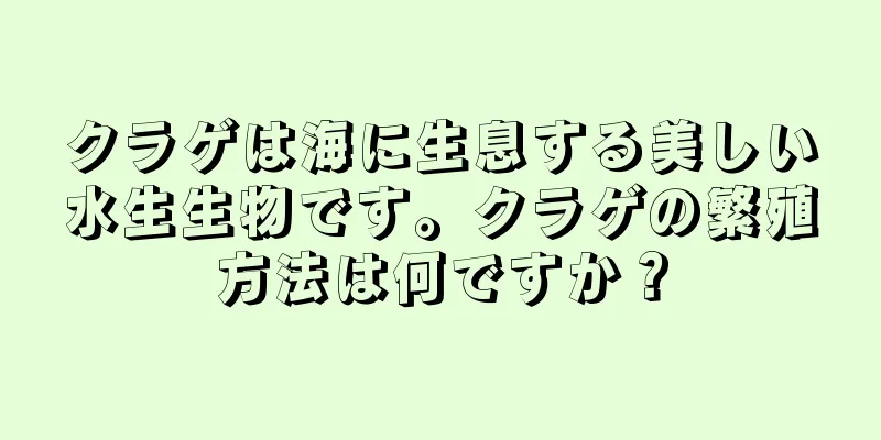 クラゲは海に生息する美しい水生生物です。クラゲの繁殖方法は何ですか？