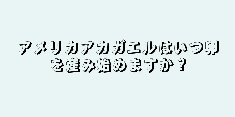 アメリカアカガエルはいつ卵を産み始めますか？