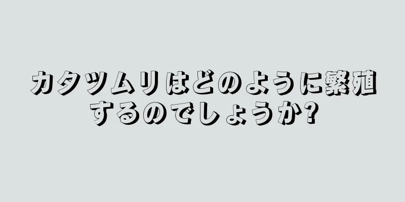 カタツムリはどのように繁殖するのでしょうか?