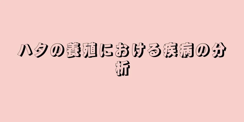 ハタの養殖における疾病の分析