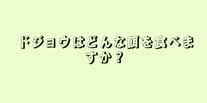 ドジョウはどんな餌を食べますか？