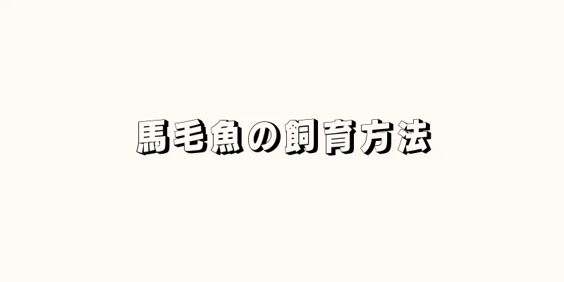 馬毛魚の飼育方法