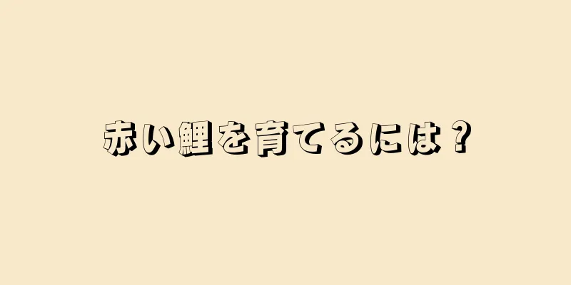 赤い鯉を育てるには？