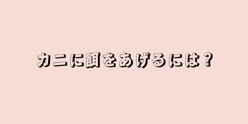 カニに餌をあげるには？