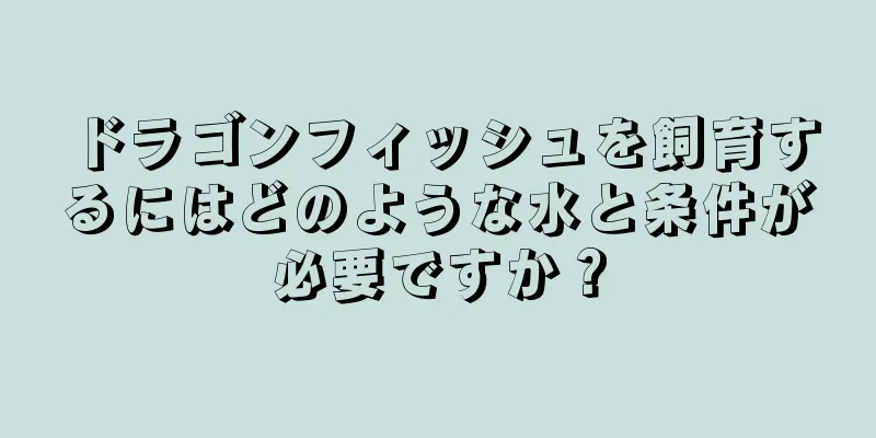 ドラゴンフィッシュを飼育するにはどのような水と条件が必要ですか？