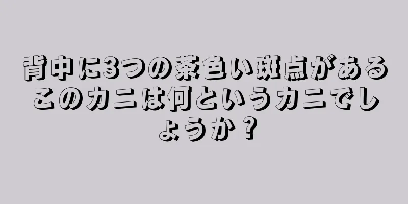 背中に3つの茶色い斑点があるこのカニは何というカニでしょうか？