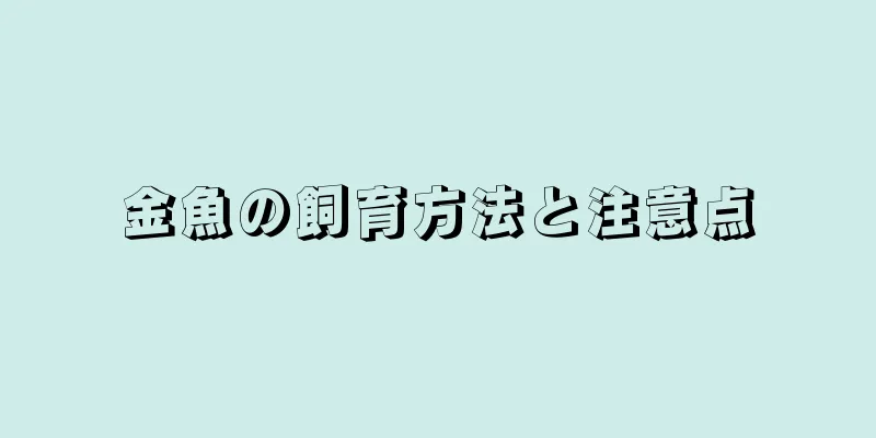 金魚の飼育方法と注意点