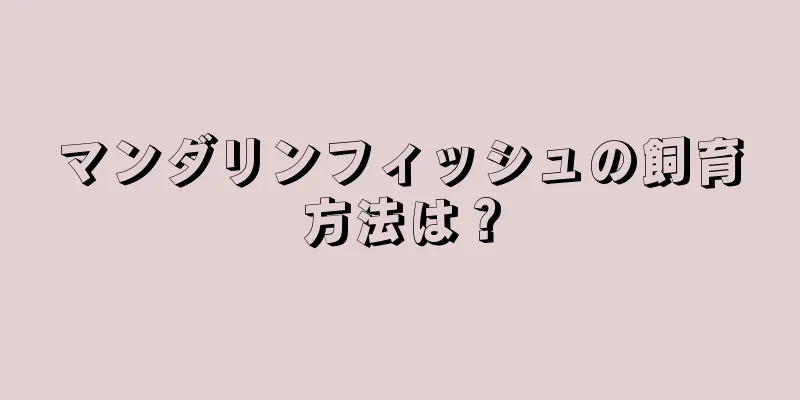 マンダリンフィッシュの飼育方法は？