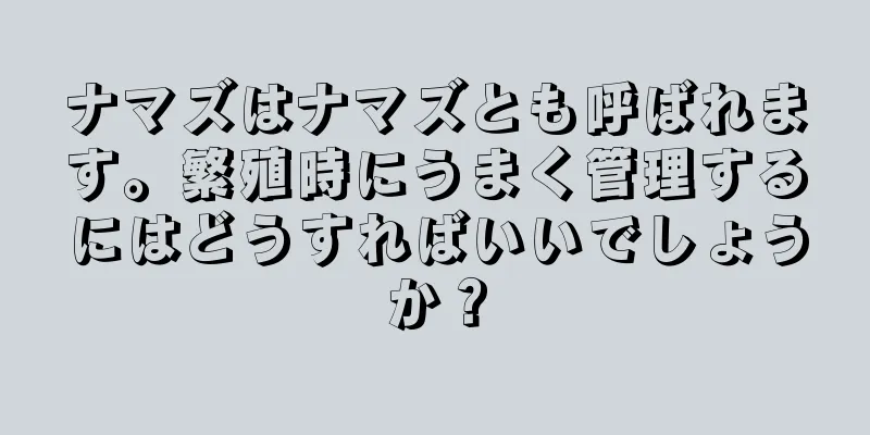 ナマズはナマズとも呼ばれます。繁殖時にうまく管理するにはどうすればいいでしょうか？