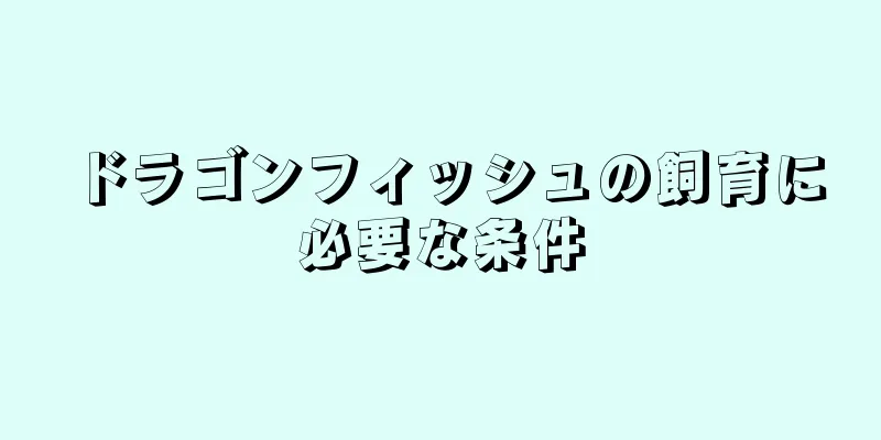 ドラゴンフィッシュの飼育に必要な条件