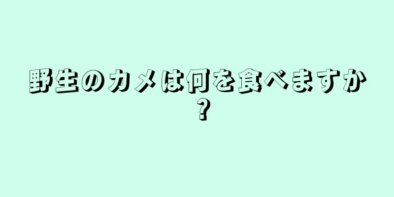 野生のカメは何を食べますか？